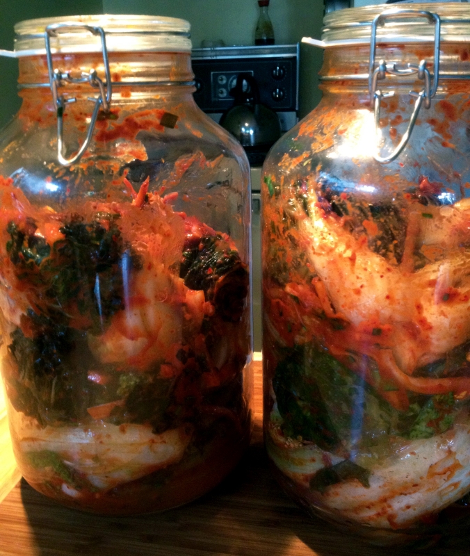The prepared cabbage is sealed inside glass quart jars. We fermented one inside the fridge, and one outside. 